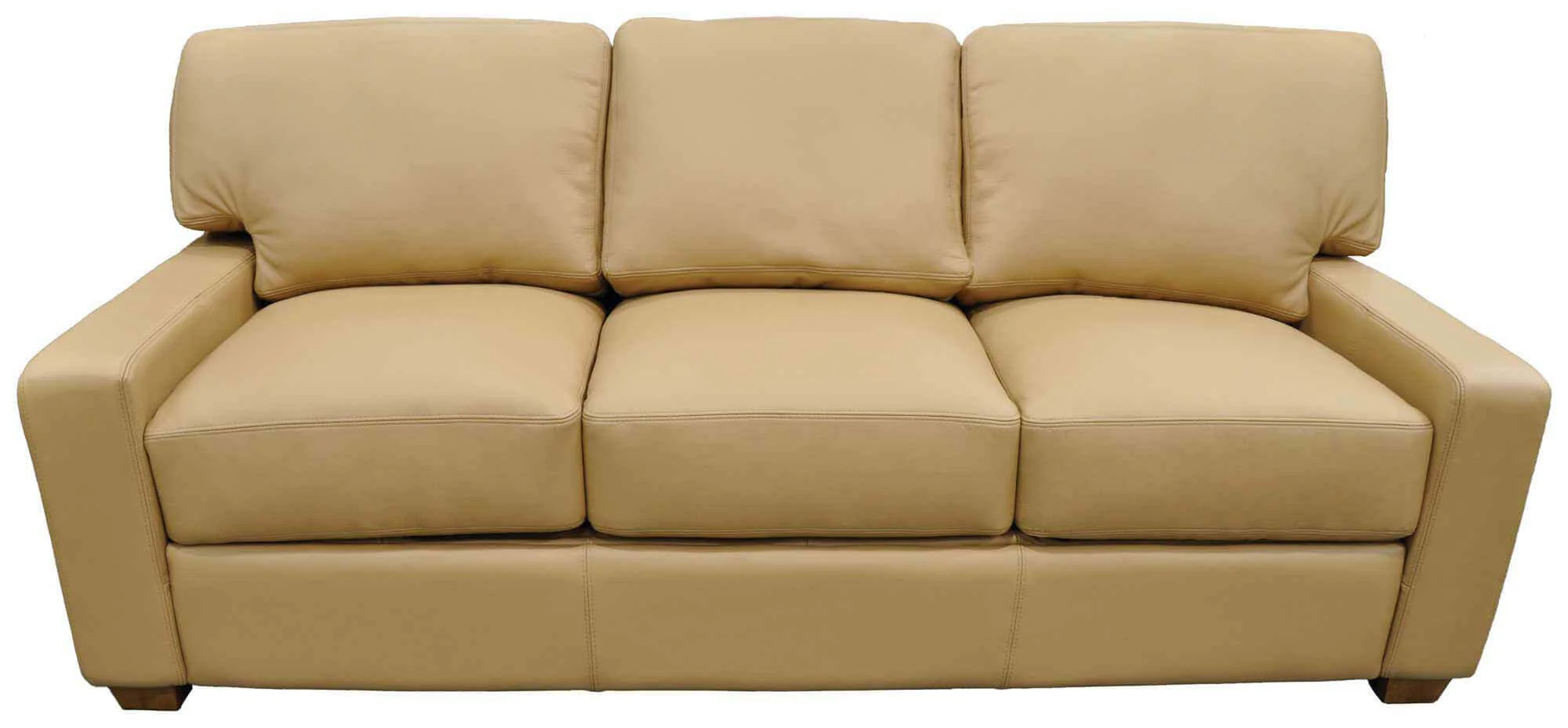 Albany Leather Queen Size Sofa Sleeper - Image 6