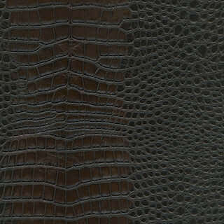 Specialty Grade 5: Apache Pattern