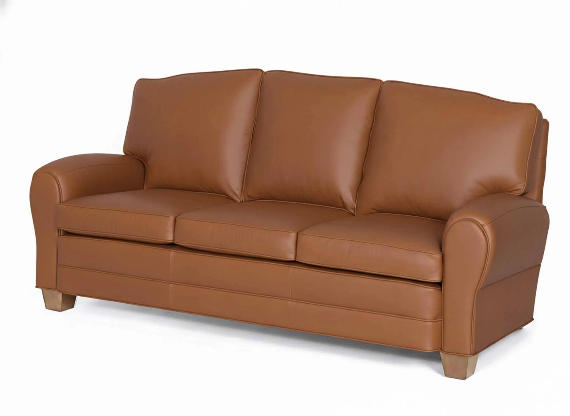 Arizona Leather Queen Size Sleeper Sofa - Image 4