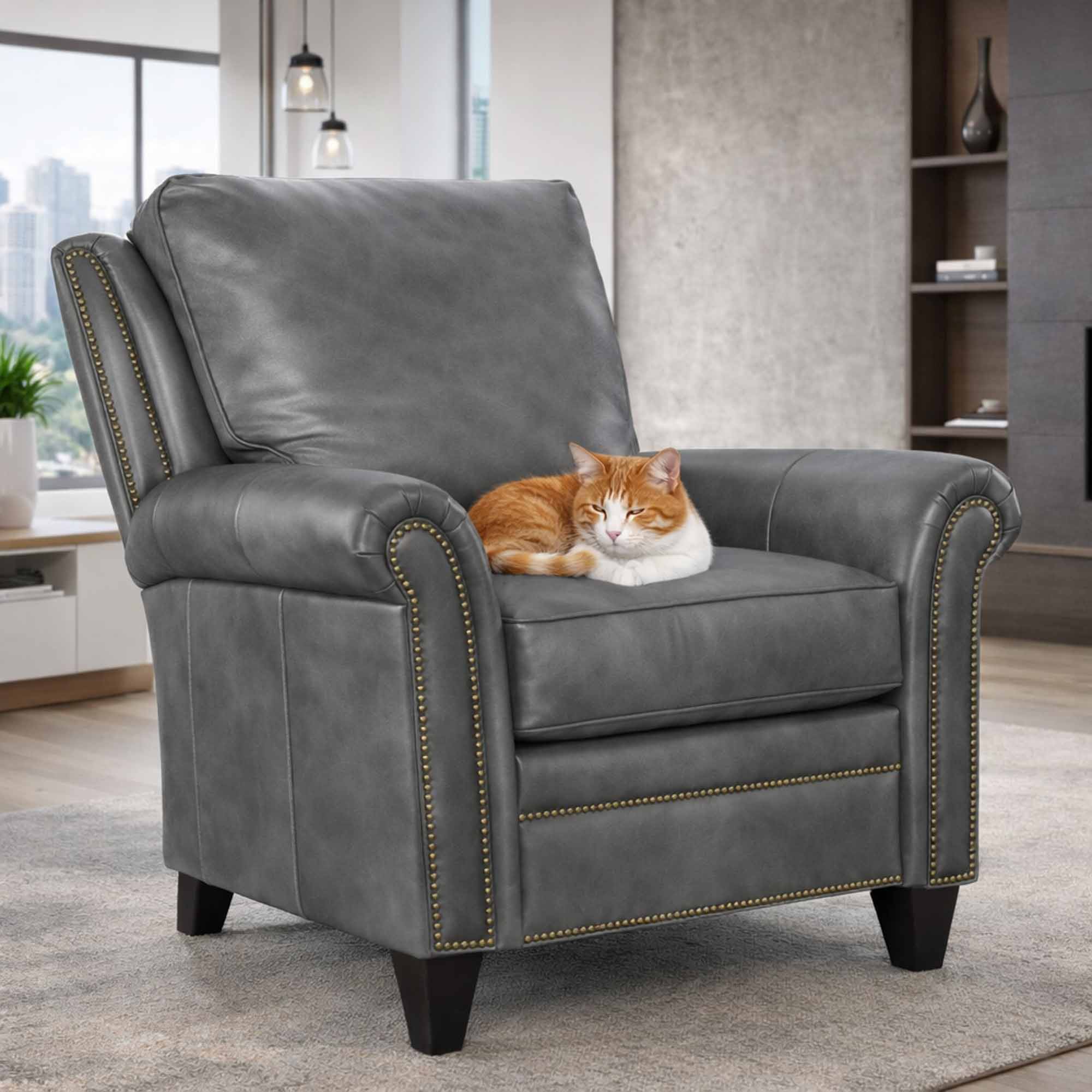 Carrado Leather Chair - Image 17
