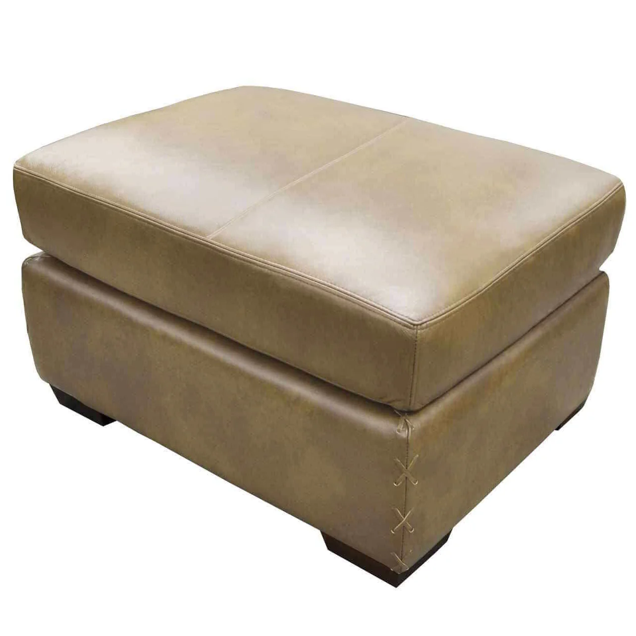 Colorado Leather Chair - Image 2