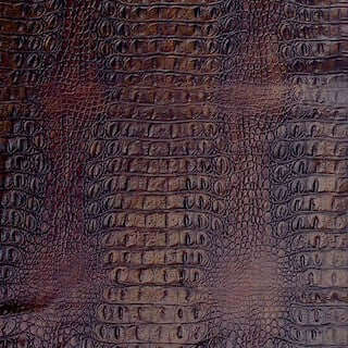 Specialty Grade 7: Crocodile Pattern