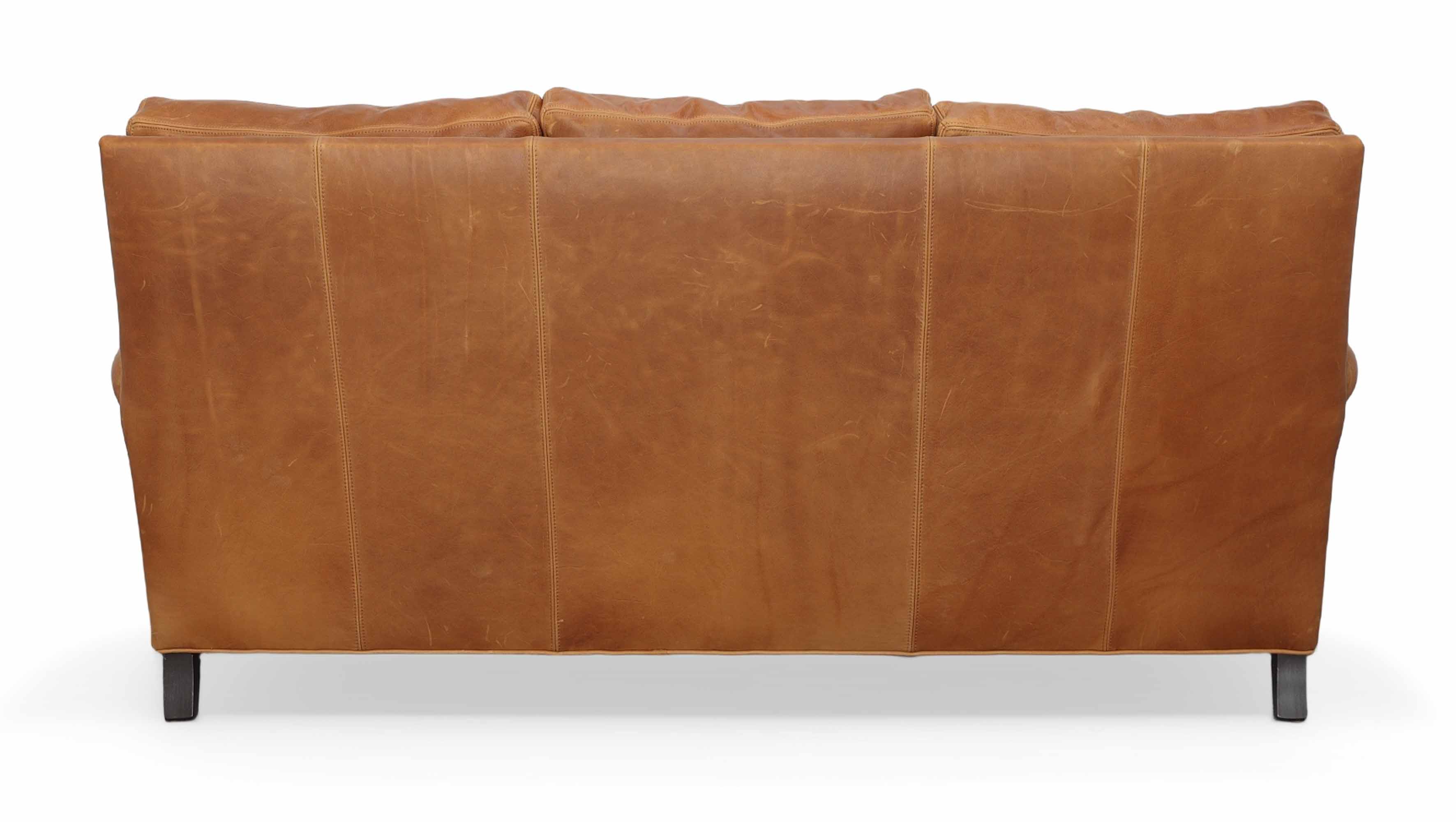 Dana Leather Queen Size Sofa Sleeper - Image 4