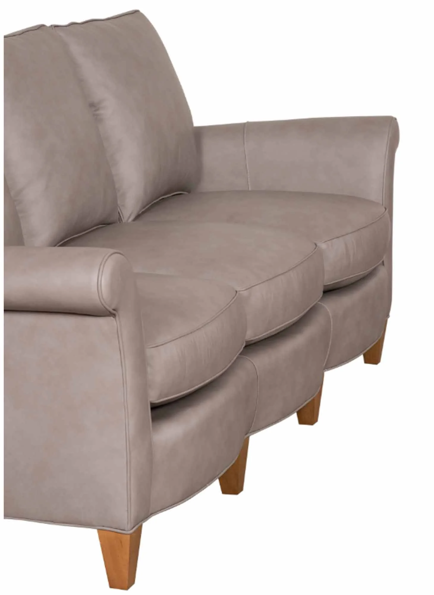 Dino Leather Loveseat - Image 2