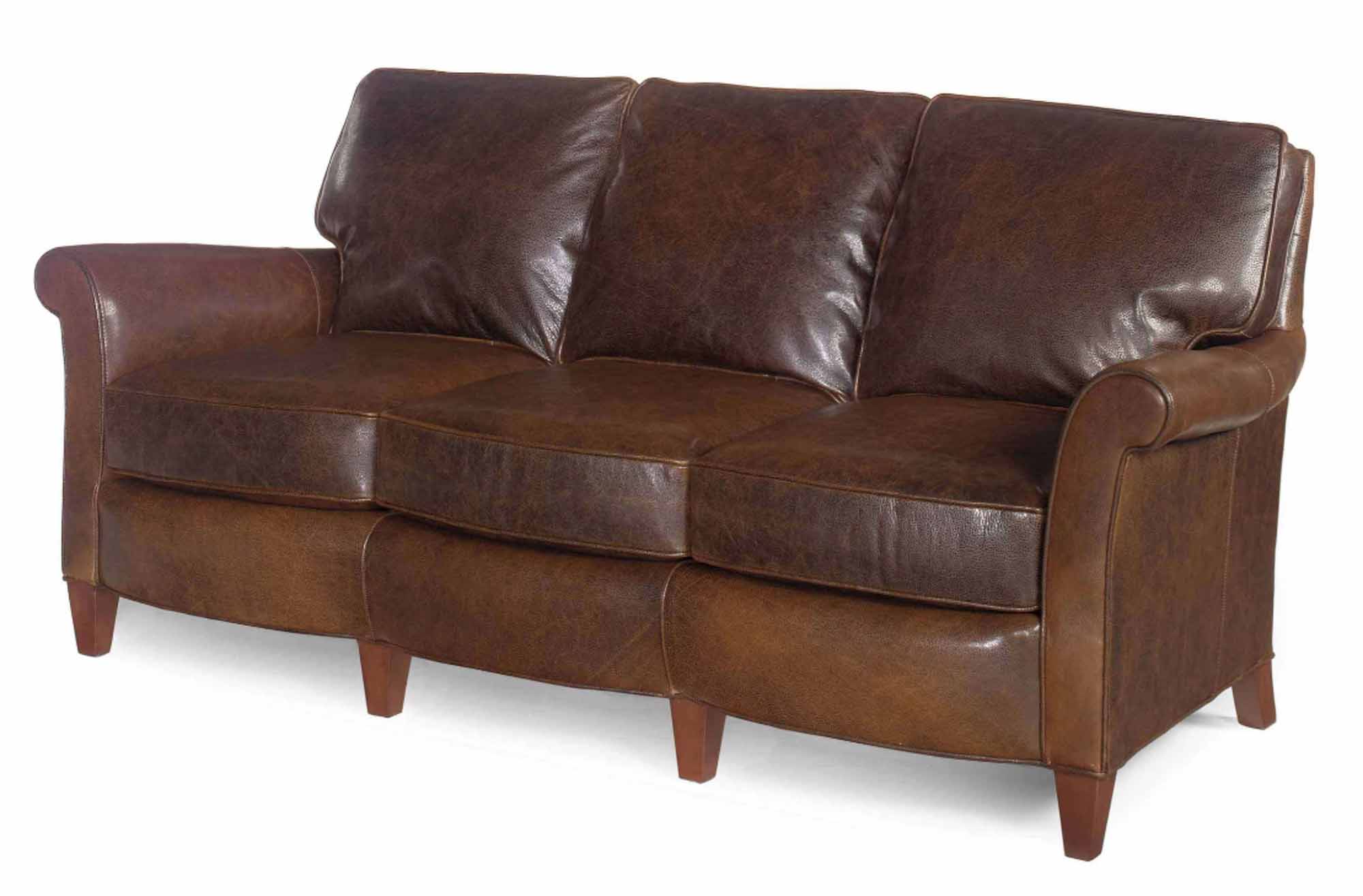 Dino Leather Loveseat - Image 3
