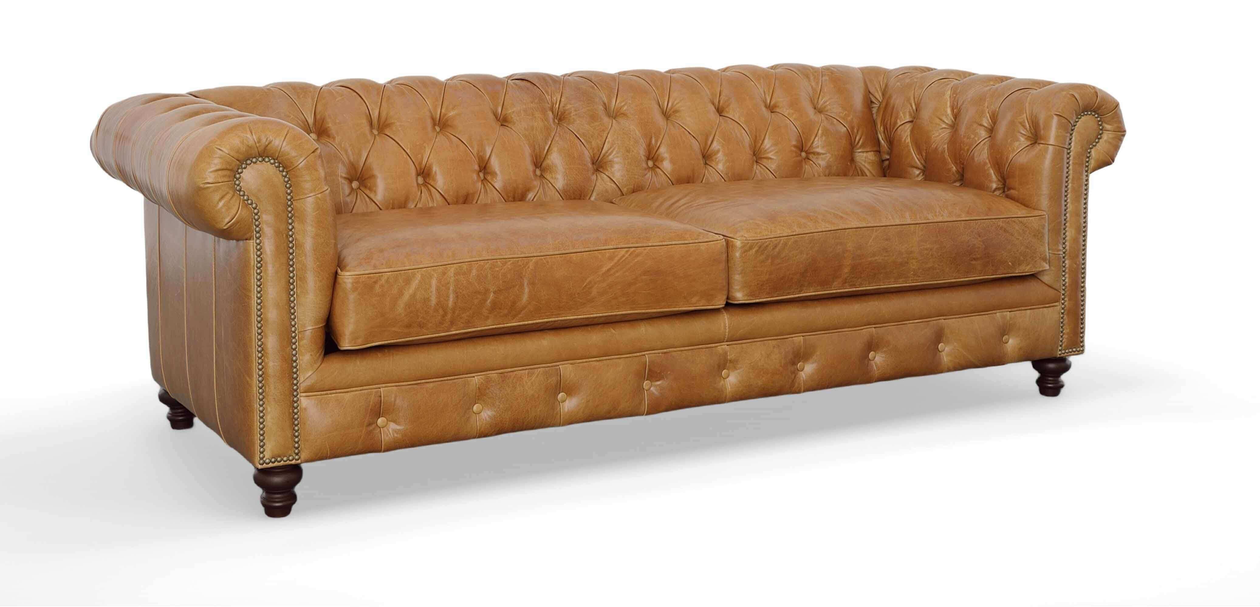 Donald Leather Queen Size Sofa Sleeper