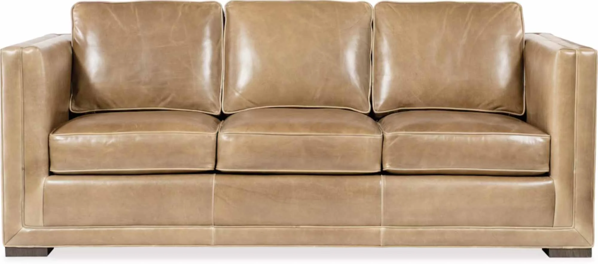 Ellary Leather Sofa - Image 2