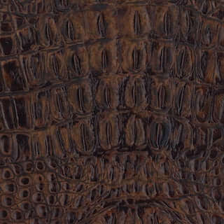 Specialty Grade 5: Gator Pattern - Image 2