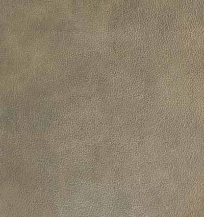 Grade 1: Ivy Pattern - Image 12