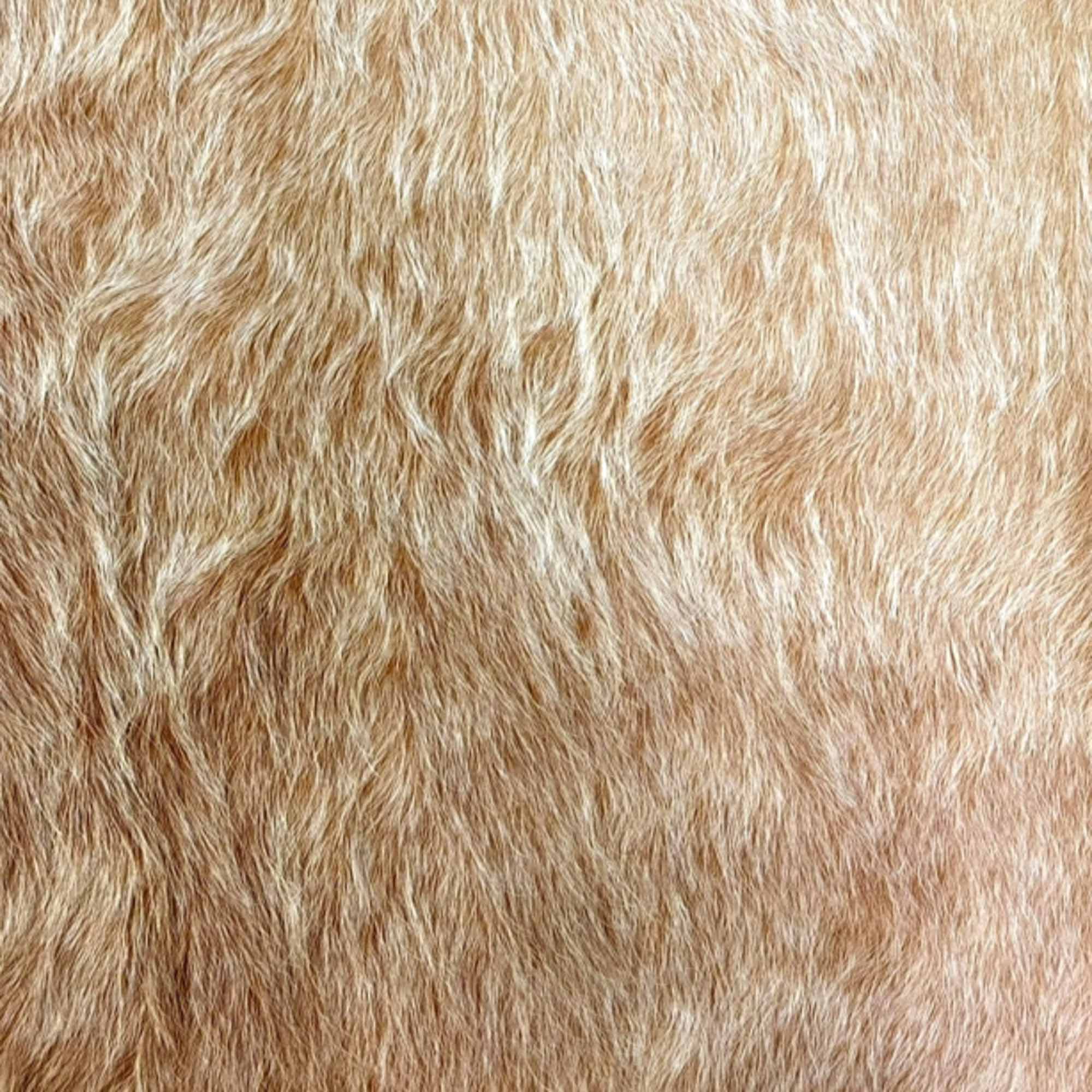 Specialty Grade 5: Hair On Hide Pattern