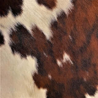 Specialty Grade 5: Hair On Hide Pattern - Image 3