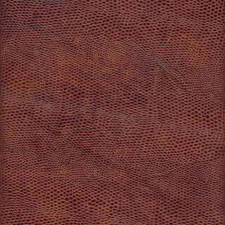 Speciality Grade 7: Lizzie Pattern