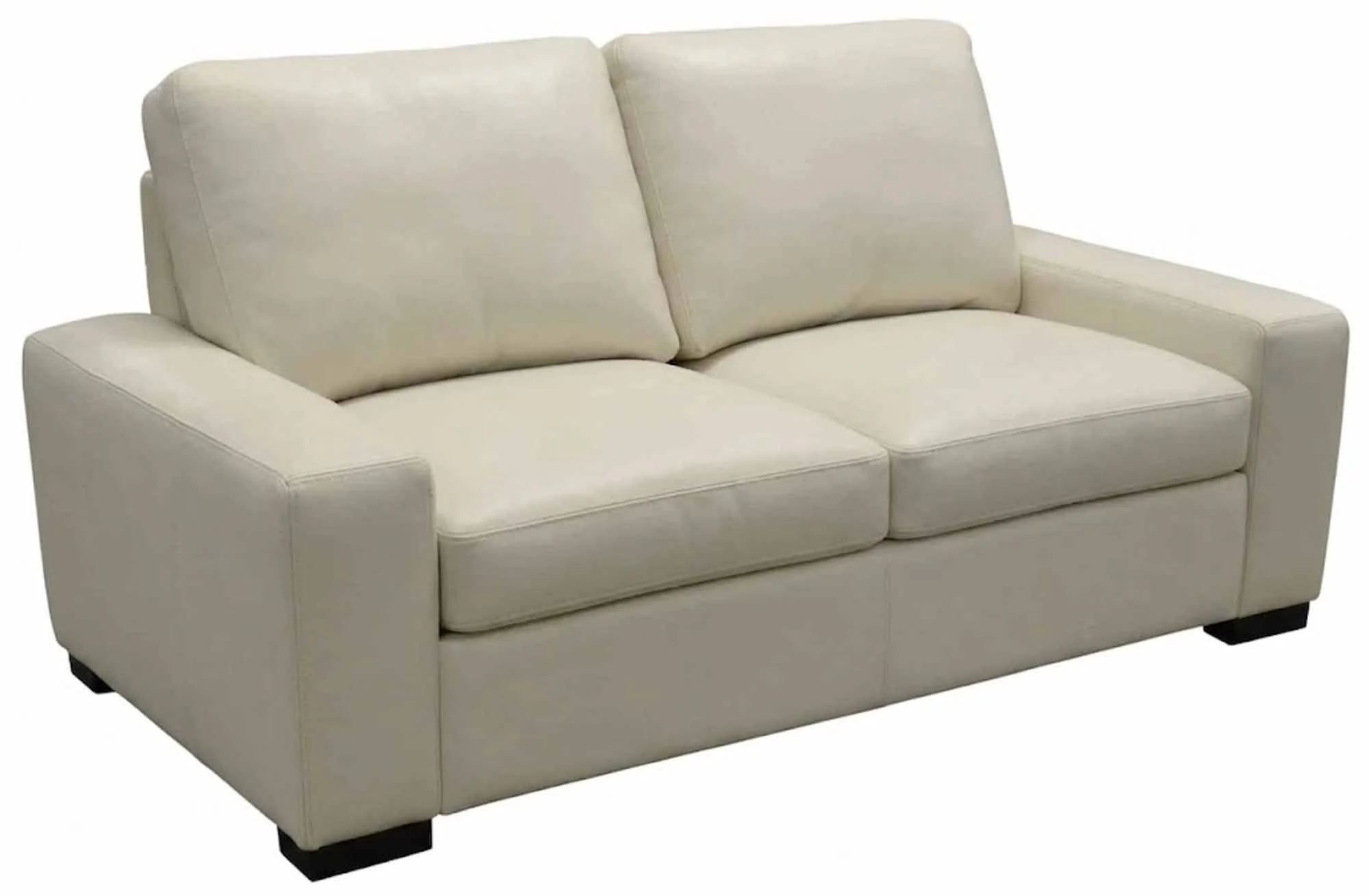 Max 2 Leather Loveseat