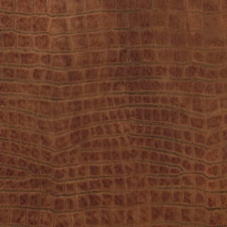 Specialty Grade 5: Southern Pattern