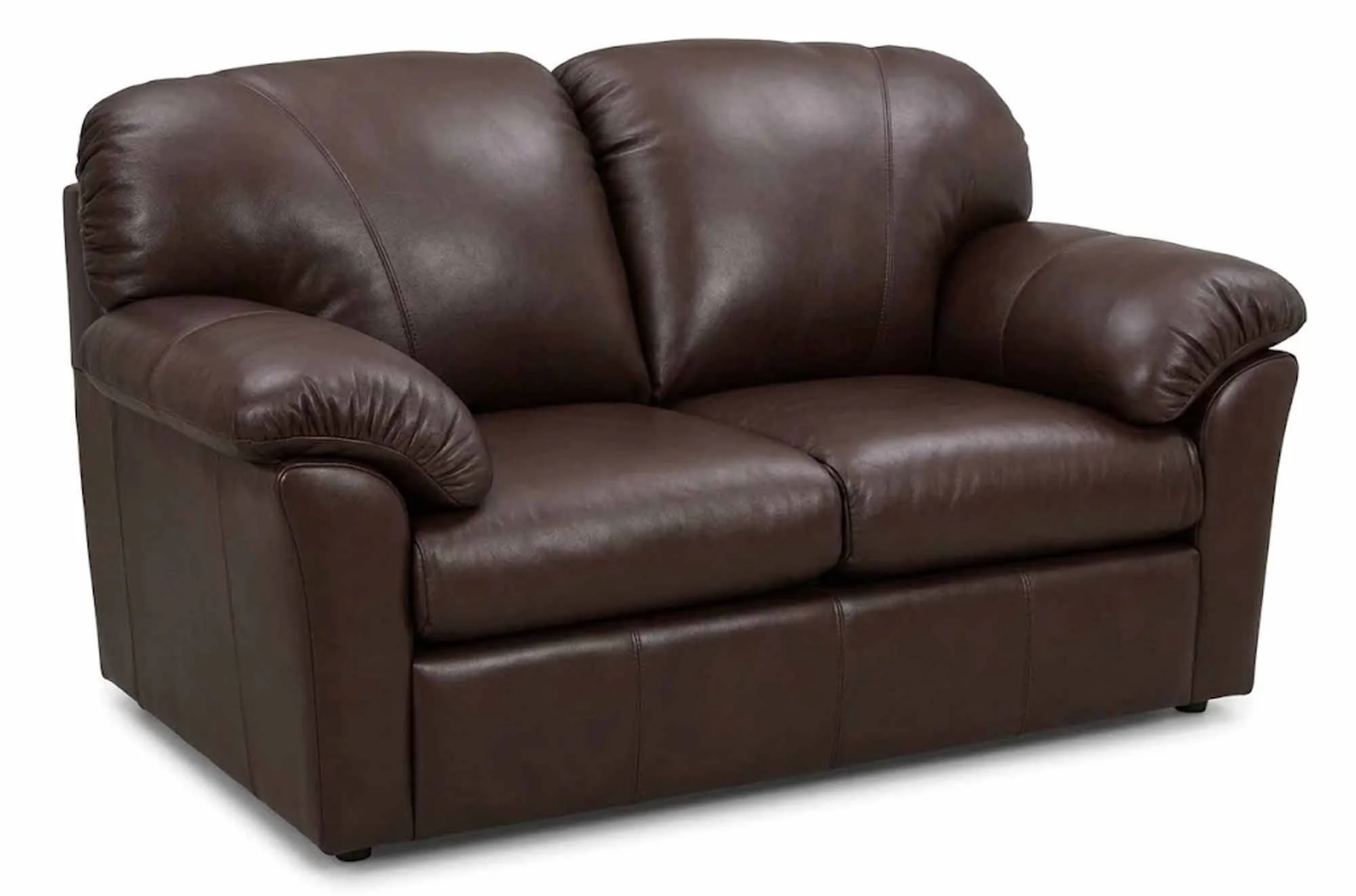 Tahoe Leather Loveseat