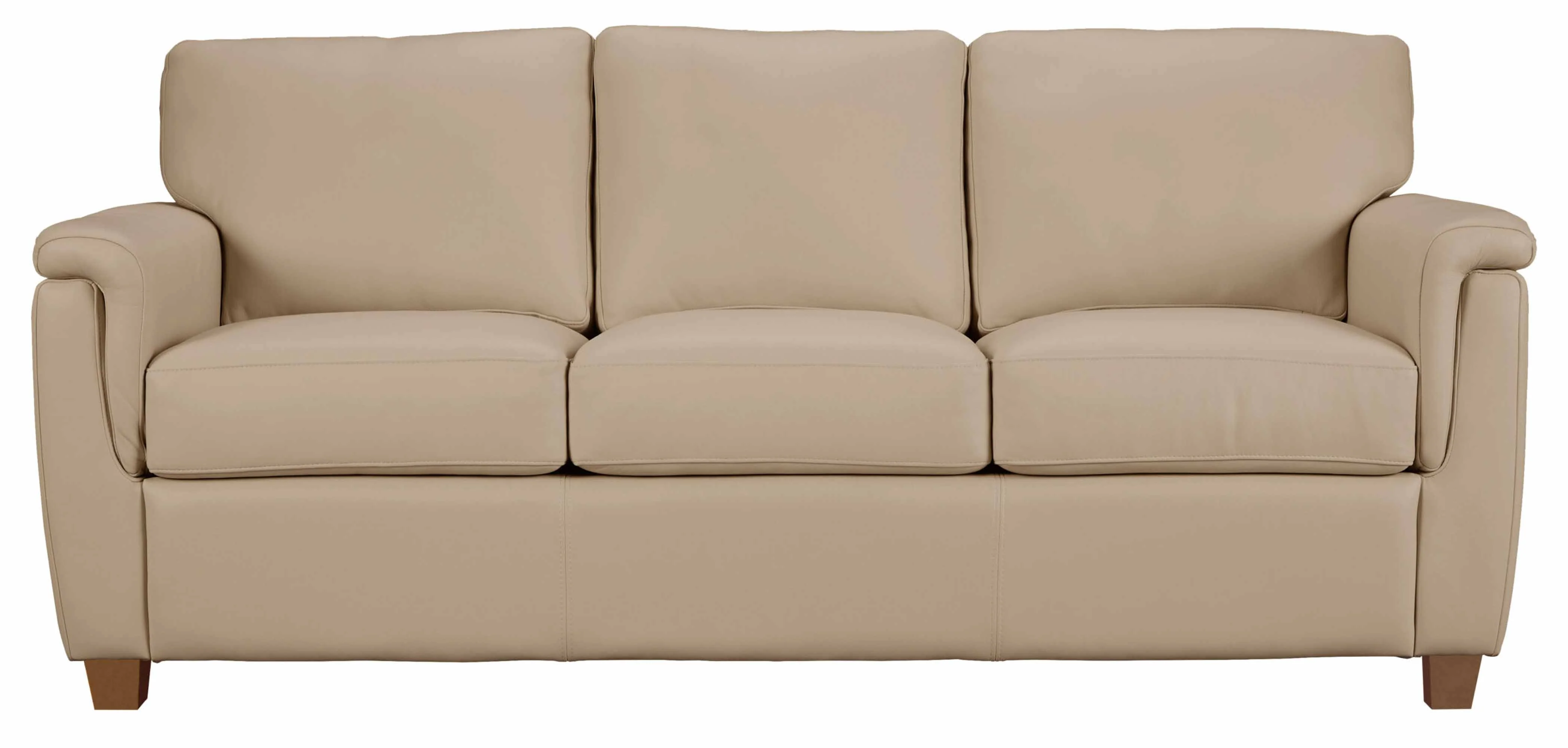 Walter Leather Full Size Sofa Sleeper - Image 3