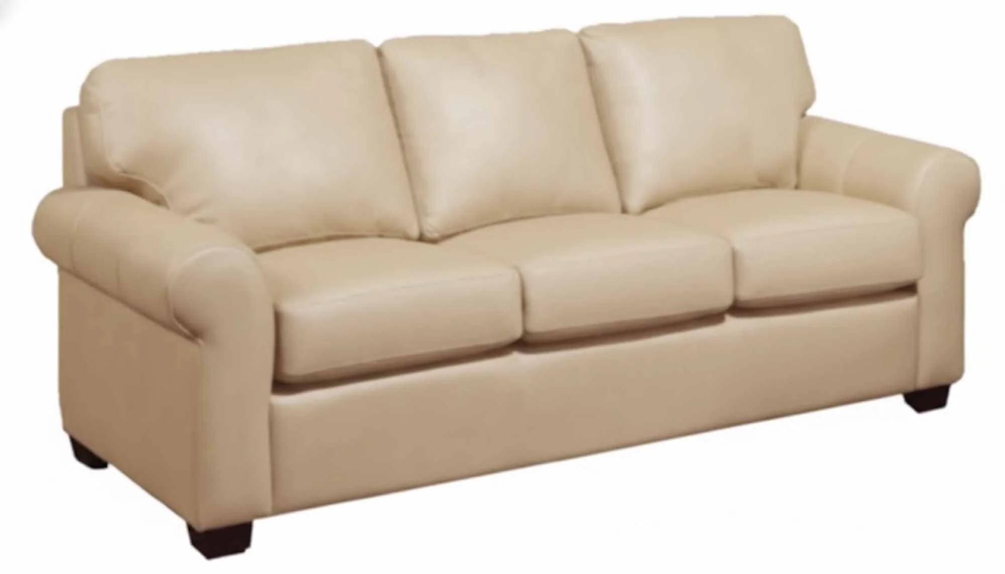 West Point Leather Queen Size Sofa Sleeper